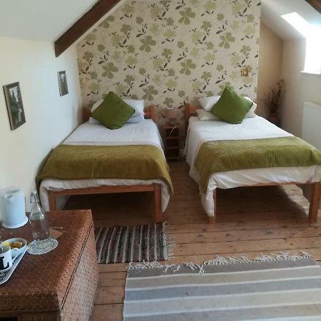 Y Garreg Wen Bed and Breakfast Llanybyther Buitenkant foto