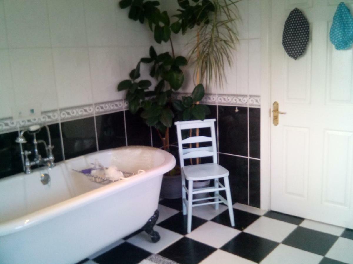 Y Garreg Wen Bed and Breakfast Llanybyther Buitenkant foto