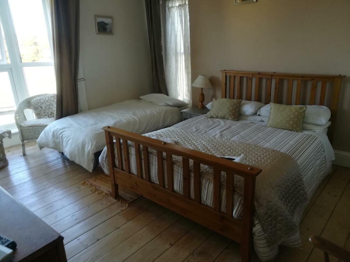 Y Garreg Wen Bed and Breakfast Llanybyther Buitenkant foto
