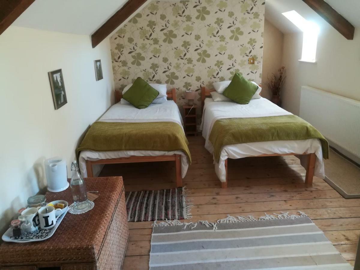 Y Garreg Wen Bed and Breakfast Llanybyther Buitenkant foto