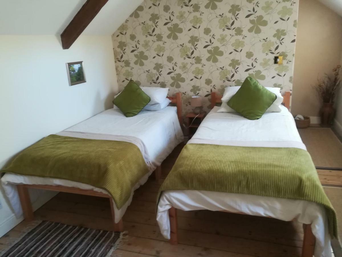 Y Garreg Wen Bed and Breakfast Llanybyther Buitenkant foto